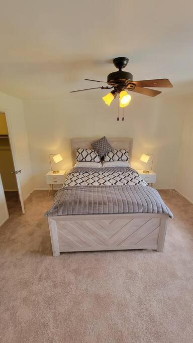 Apartment, One Bedroom 阿林顿 外观 照片